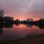 Полина Минк