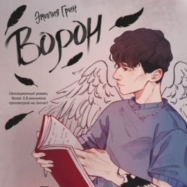 Обложка книги „Ворон“