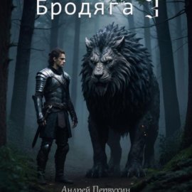 Бродяга 3