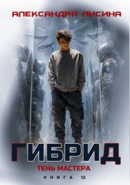 Обложка книги „Гибрид. Книга 13. Тень мастера“
