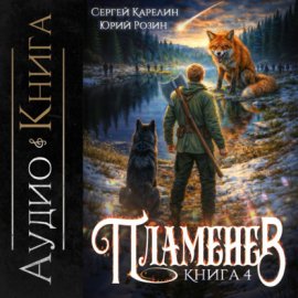 Пламенев. Книга IV