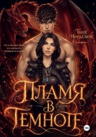 Обложка книги „Пламя в темноте“