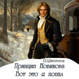 Обложка книги „Принцип Новикова. Вот это я попал“
