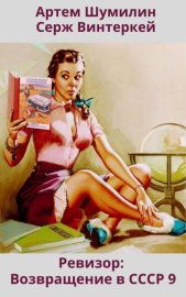 Обложка книги „Ревизор: возвращение в СССР 9“
