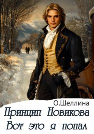 Обложка книги „Принцип Новикова. Вот это я попал“