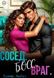 Обложка книги „Сосед. Босс. Враг.“