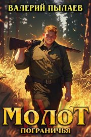 Обложка книги „Молот Пограничья. Книга IV“