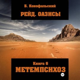 Рейд. Оазисы книга 6 МЕТЕМПСИХОЗ