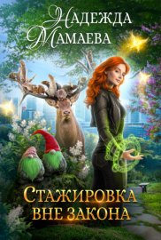 Обложка книги „Стажировка вне закона“