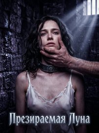 Презираемая Луна. Книга 2