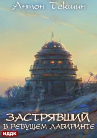 Застрявший. Книга 4. Застрявший в Ревущем лабиринте