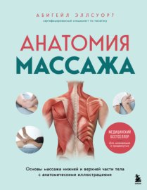 Анатомия массажа. Основы массажа нижней и верхней части тела с анатомическими иллюстрациями